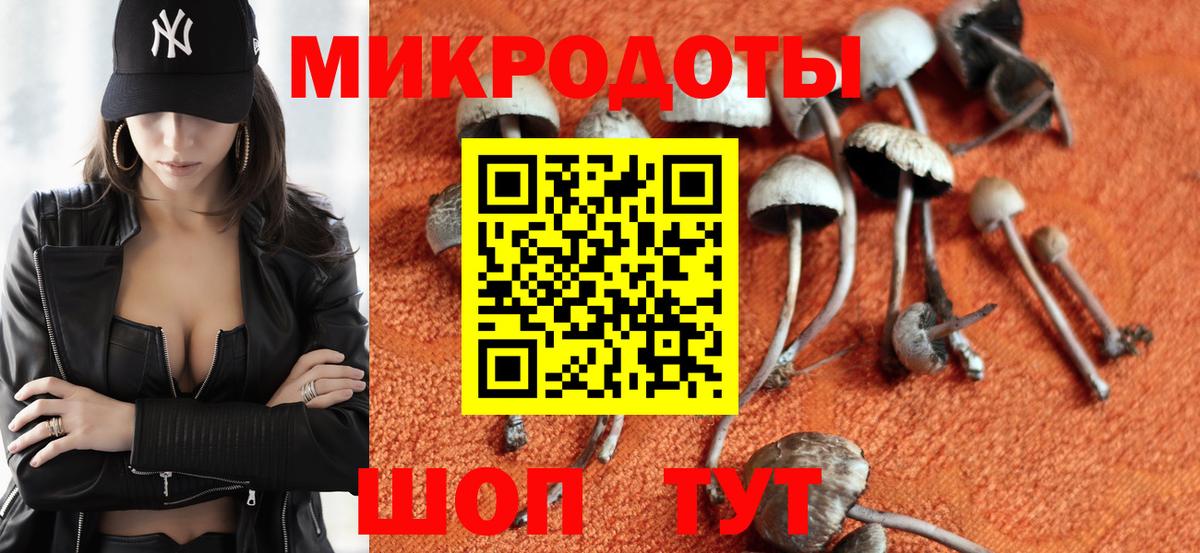Псилоцибиновые грибы GOLDEN TEACHER Новозыбков